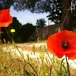I Giardini Di Pomona Cisternino