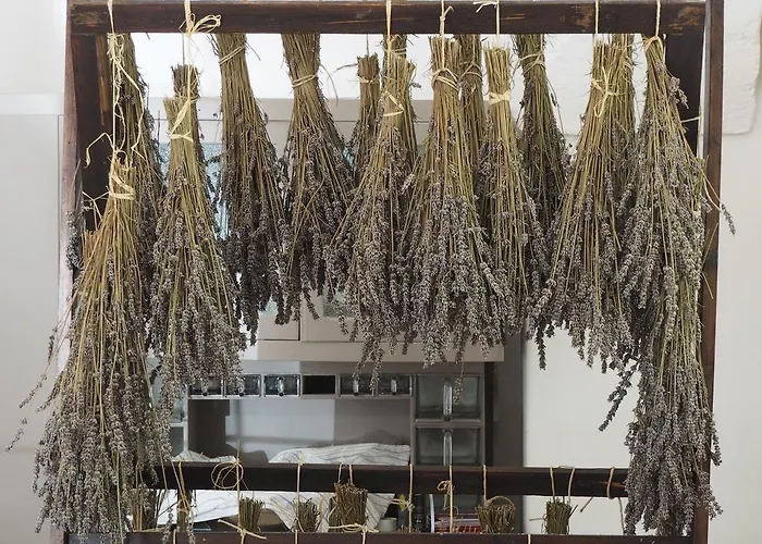 Appartamento I Giardini Di Pomona *