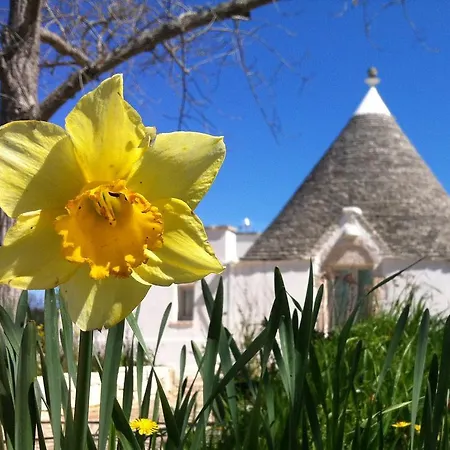 I Giardini Di Pomona 아파트