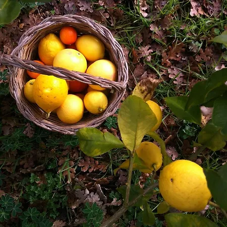 I Giardini Di Pomona Διαμέρισμα *